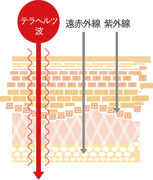 テラヘルツ波　遠赤外線　紫外線